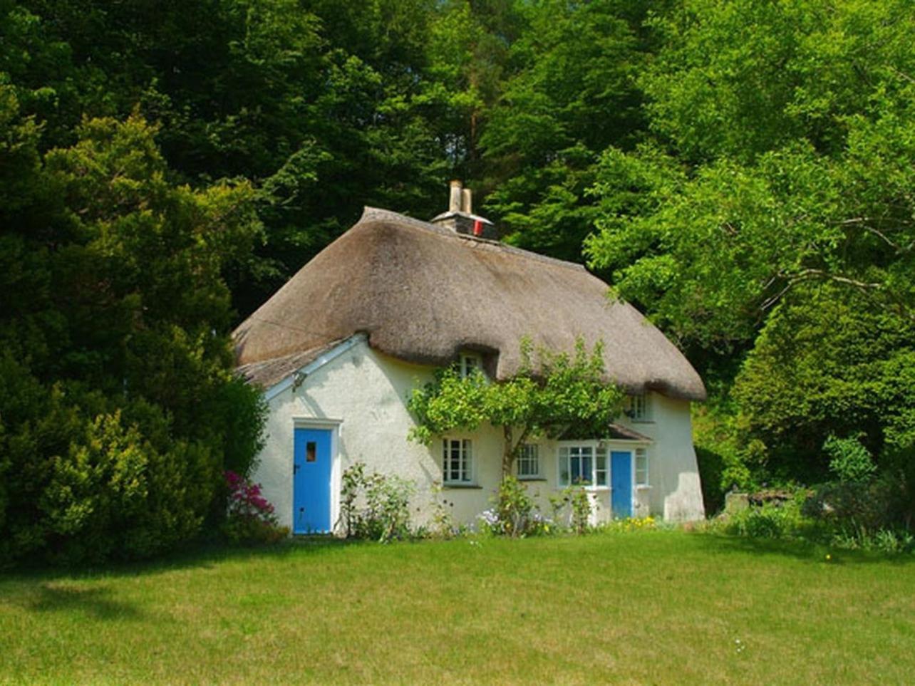 Lew Quarry Cottage Lewdown Eksteriør billede